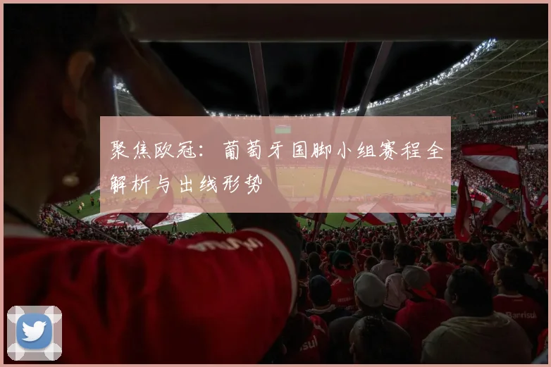 聚焦欧冠：葡萄牙国脚小组赛程全解析与出线形势