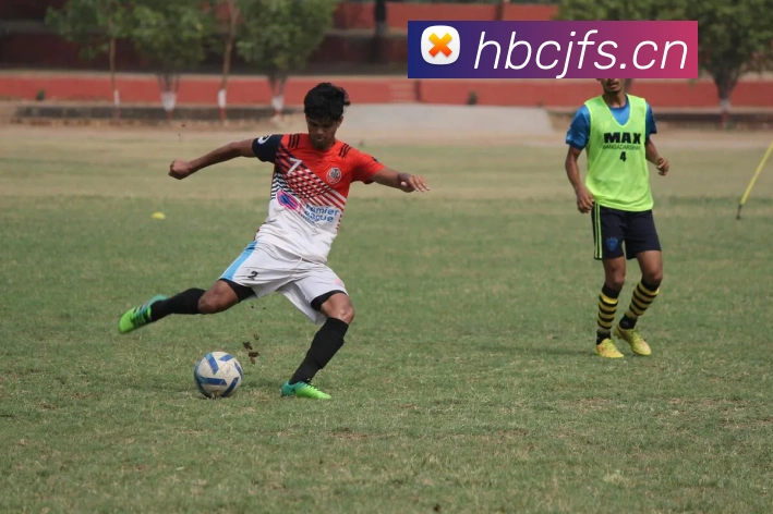 九游体育app官网入口网页发展历程